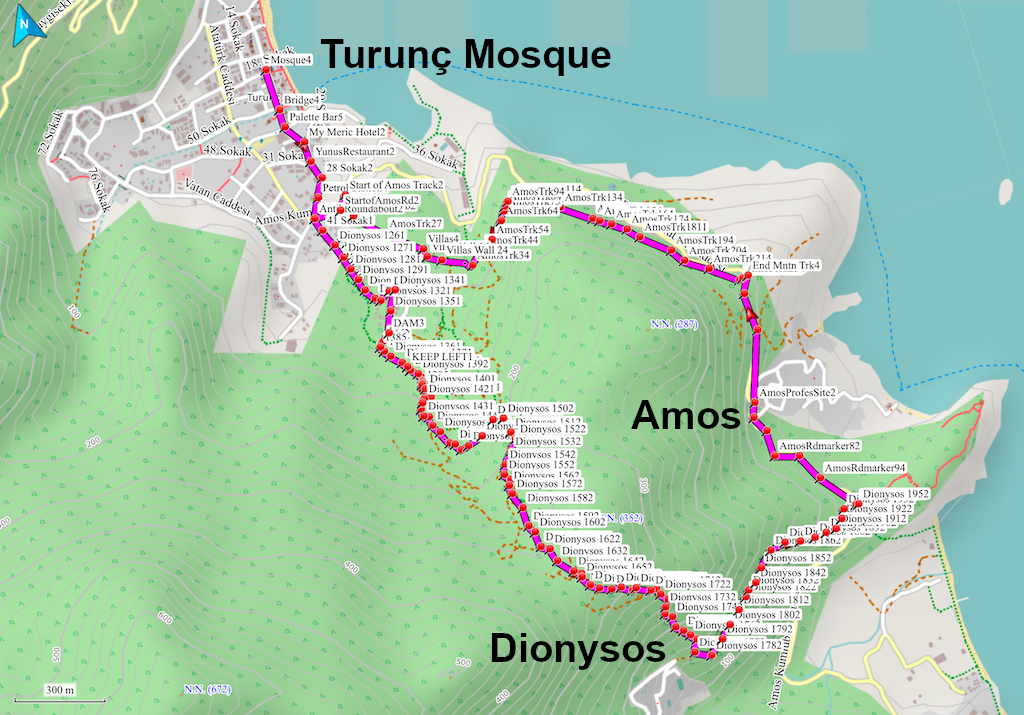 Image for Dionysos Mountain Track v4 